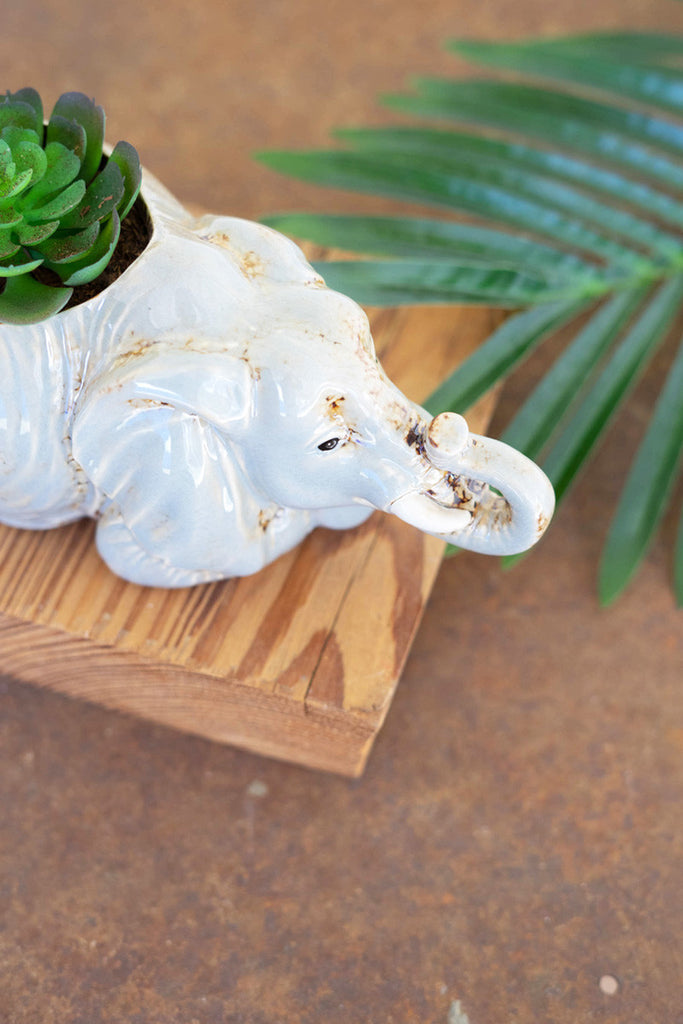 Ceramic elephant planter - Bombay Mercantile