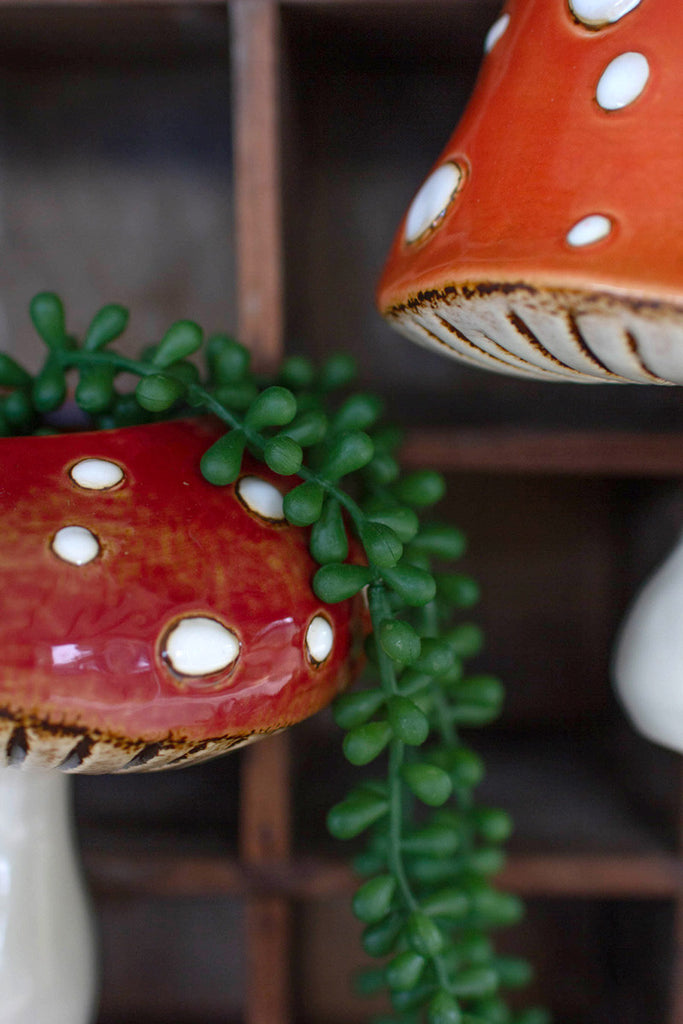 Set of 2 ceramic toadstool wall planters - Bombay Mercantile