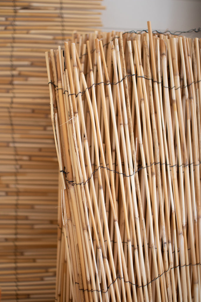 Reed fence - Bombay Mercantile