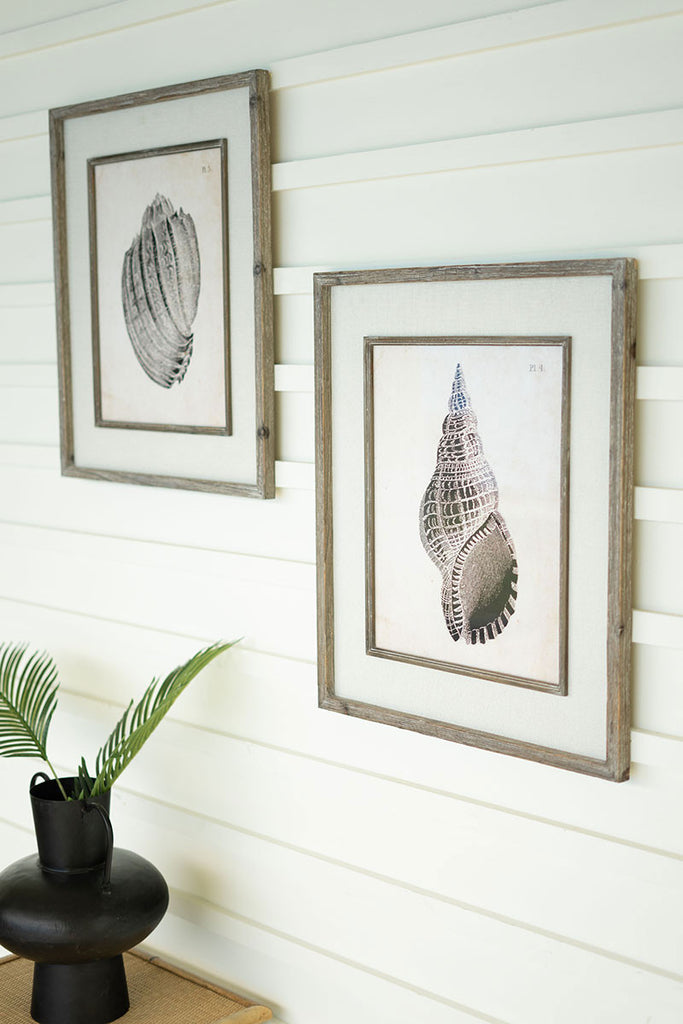 Shell prints, set of 2 - The Nifty Decor