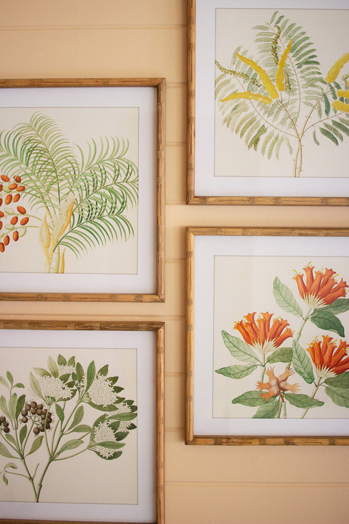 Set of 4 flower prints under glass - The Nifty Decor