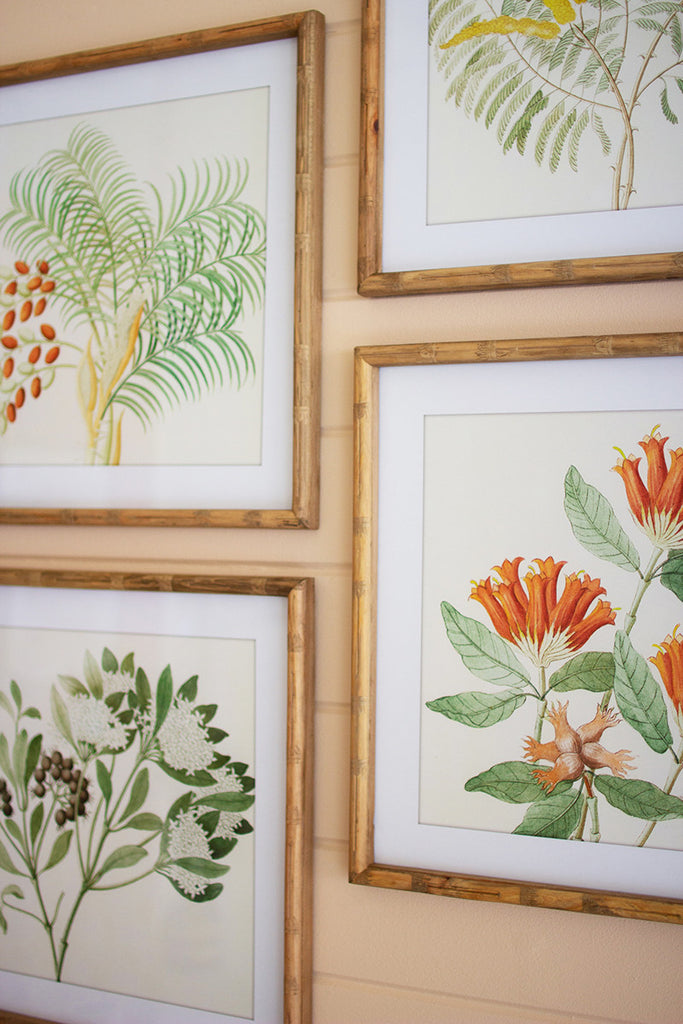 Set of 4 flower prints under glass - The Nifty Decor