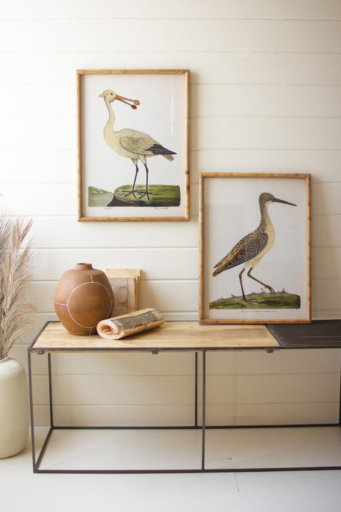 Set of 2 framed shorebirds under glass - Bombay Mercantile