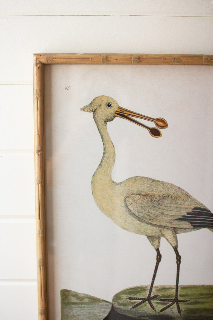 Set of 2 framed shorebirds under glass - Bombay Mercantile