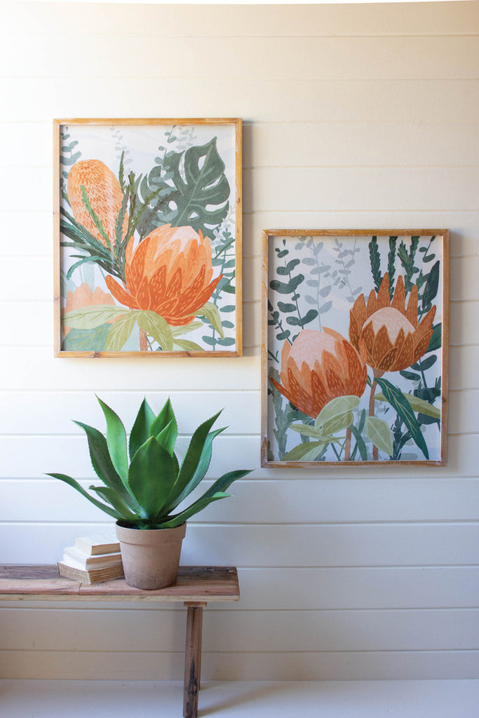 Set of 2 framed protea prints under glass - Bombay Mercantile