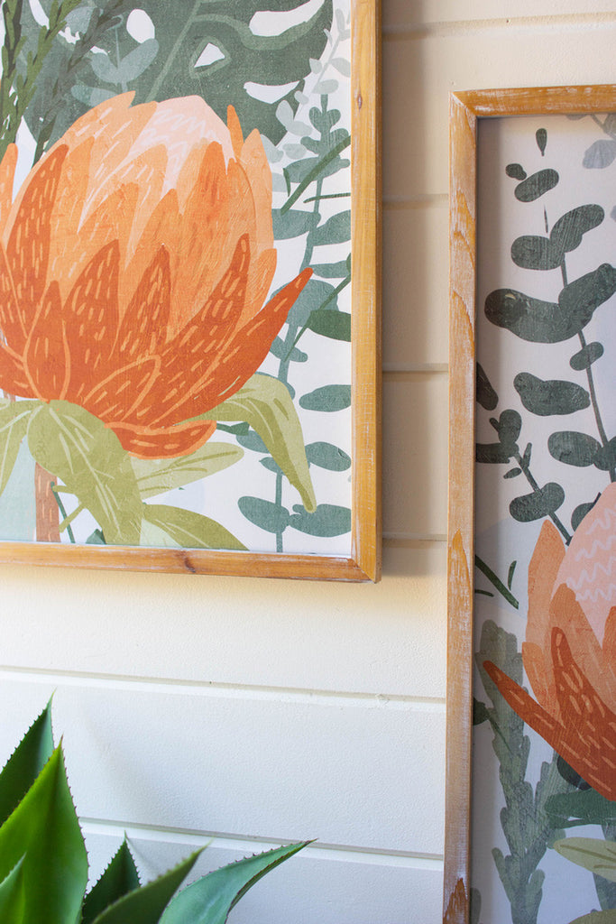 Set of 2 framed protea prints under glass - Bombay Mercantile