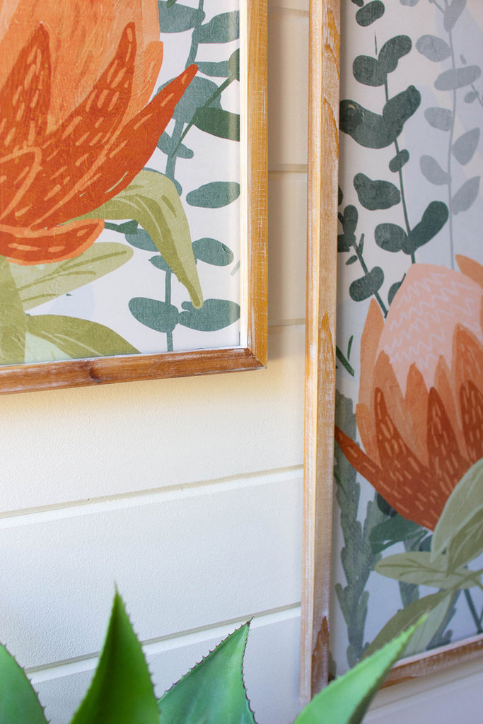 Set of 2 framed protea prints under glass - Bombay Mercantile