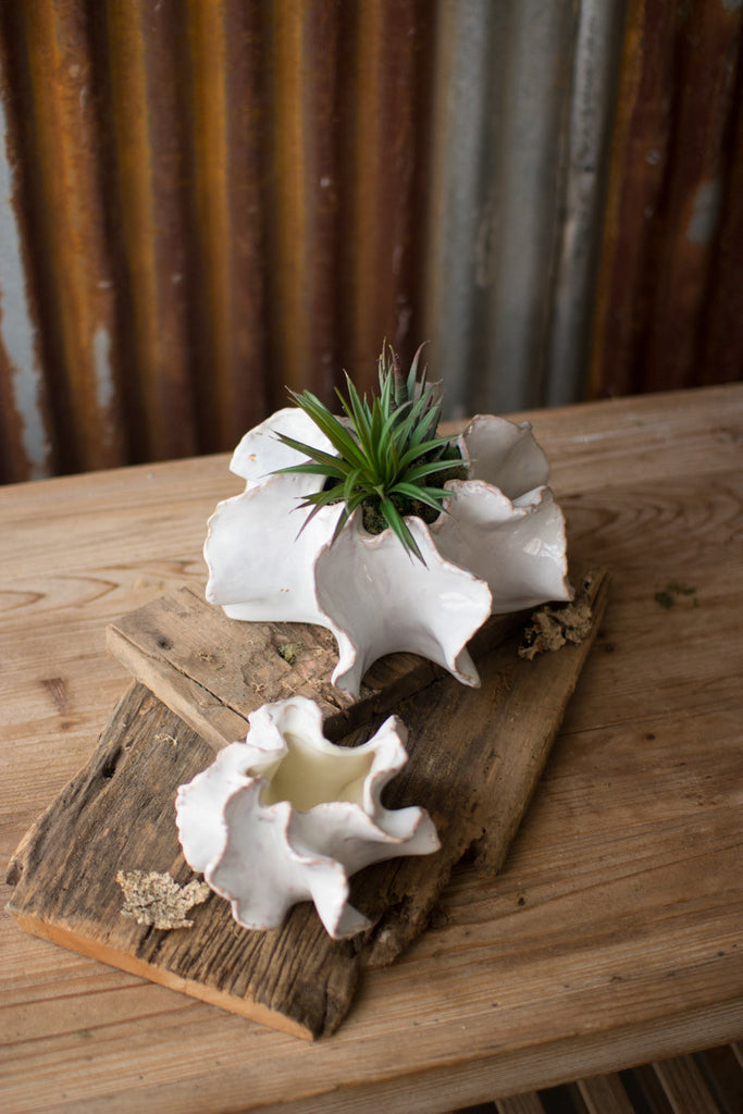 Organic ceramic planters, set of 2 - The Nifty Decor