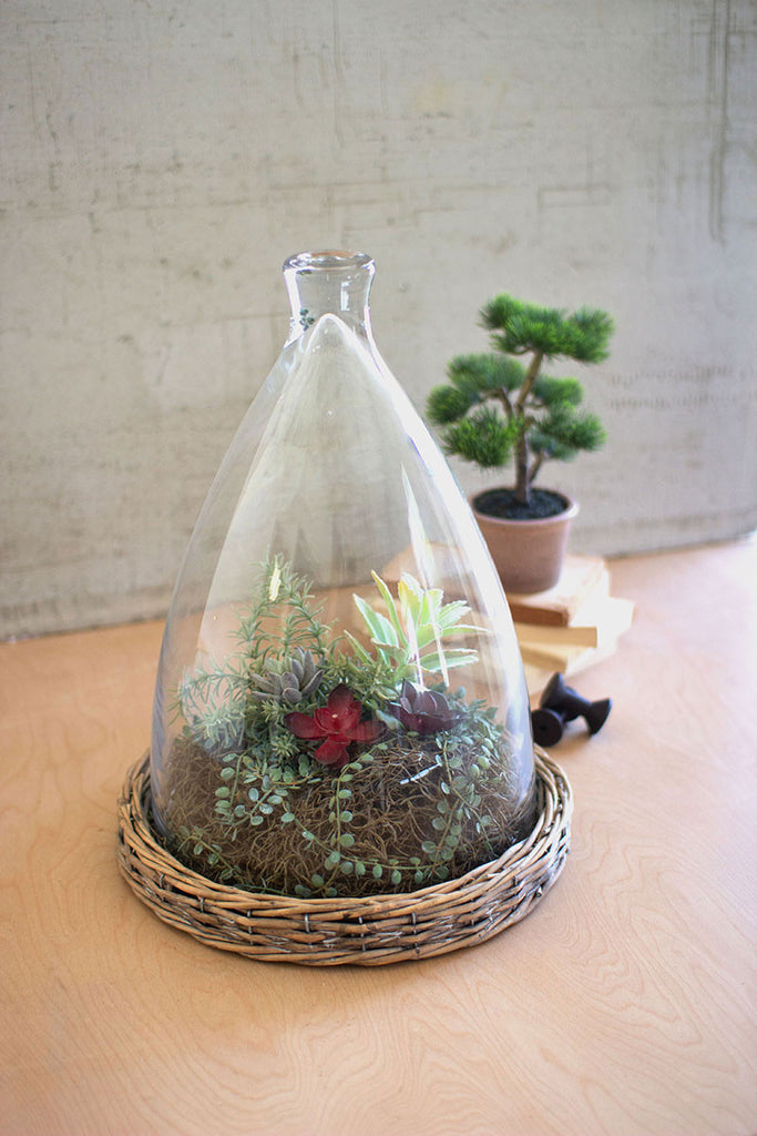 Glass cloche with wicker base - The Nifty Decor