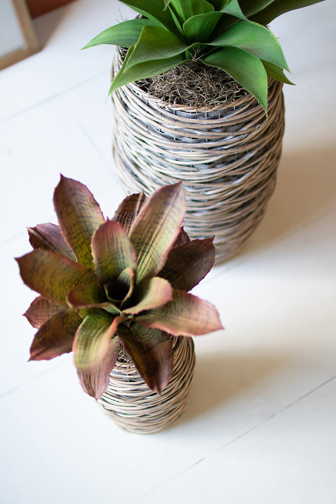 Oval rattan planters, set of 2 - The Nifty Decor