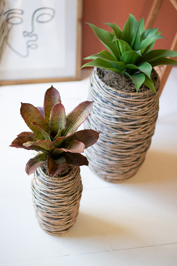 Oval rattan planters, set of 2 - The Nifty Decor
