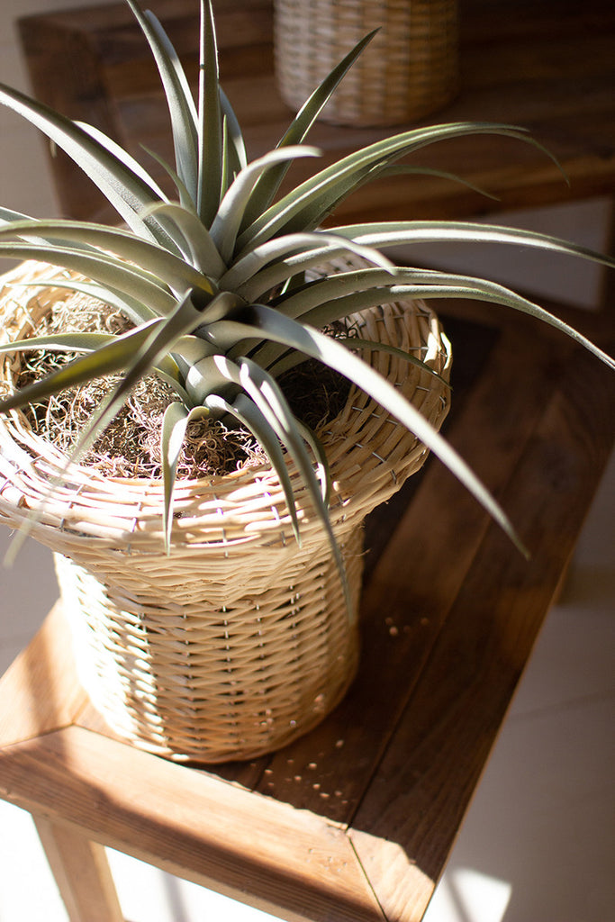 Flared rattan planters, set of 3 - The Nifty Decor