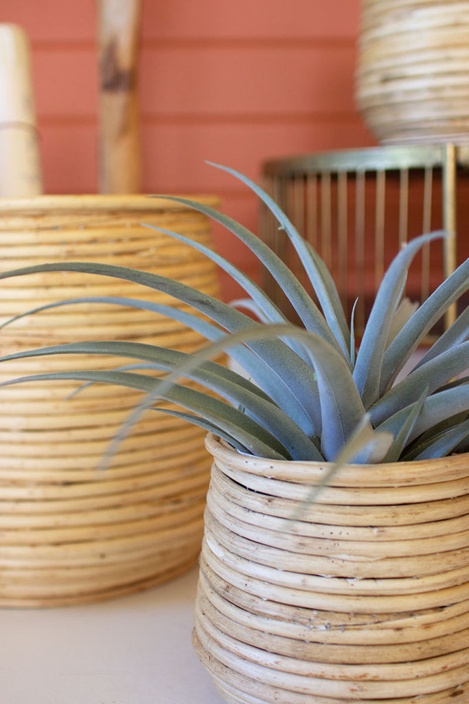 Set of 3 woven willow planters - The Nifty Decor