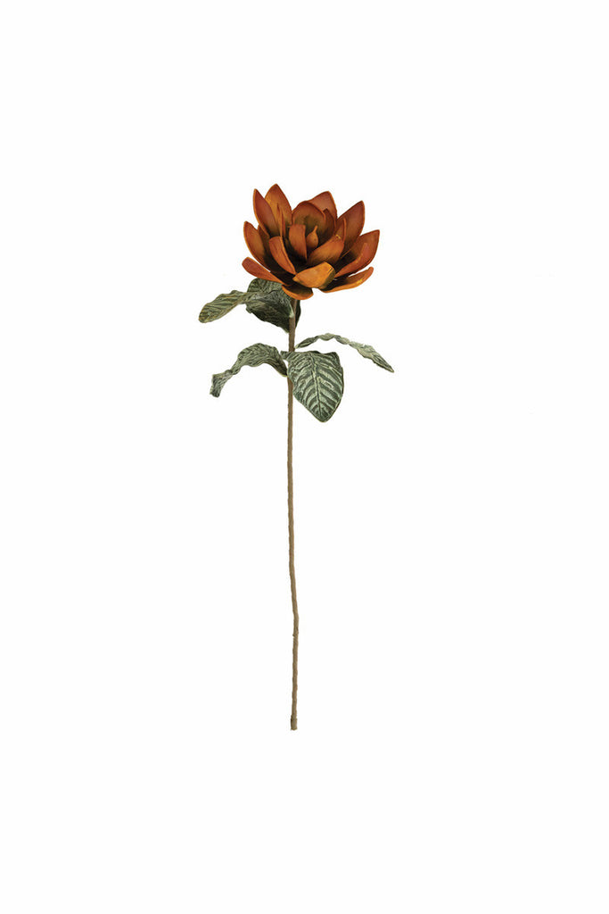 Botanica #3370, Set of 6 - Bombay Mercantile