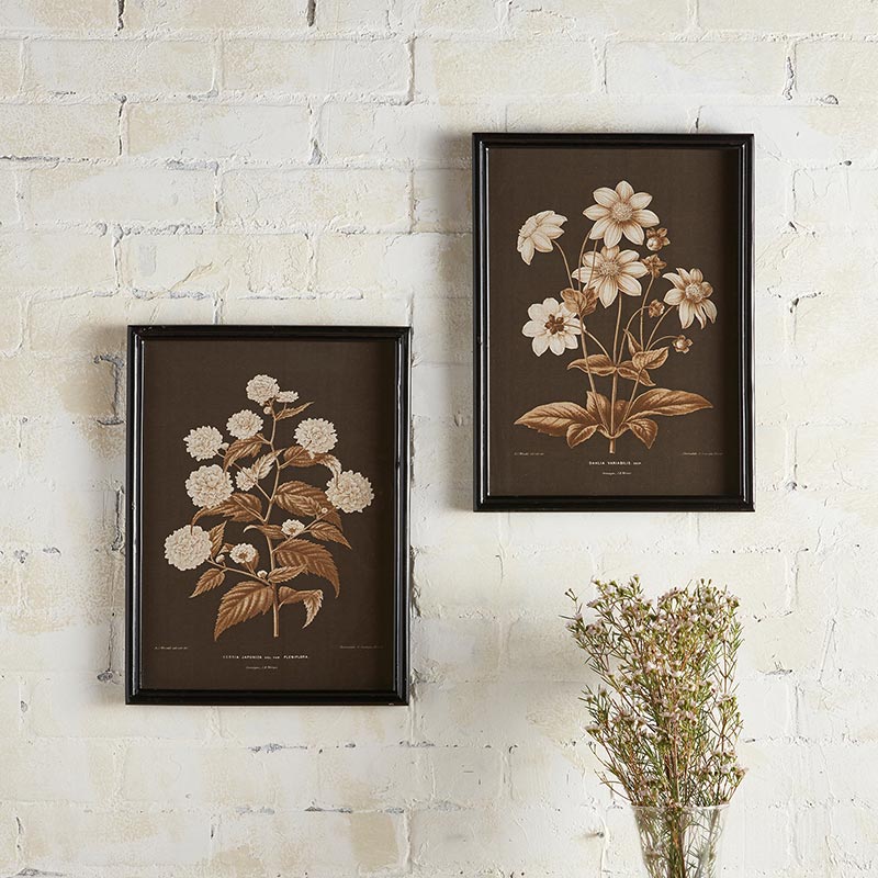 Framed Painting- Flower - Set of 2 - Bombay Mercantile