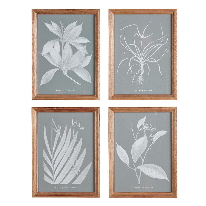 Framed Painting - Leaves - Set of 4 - Bombay Mercantile