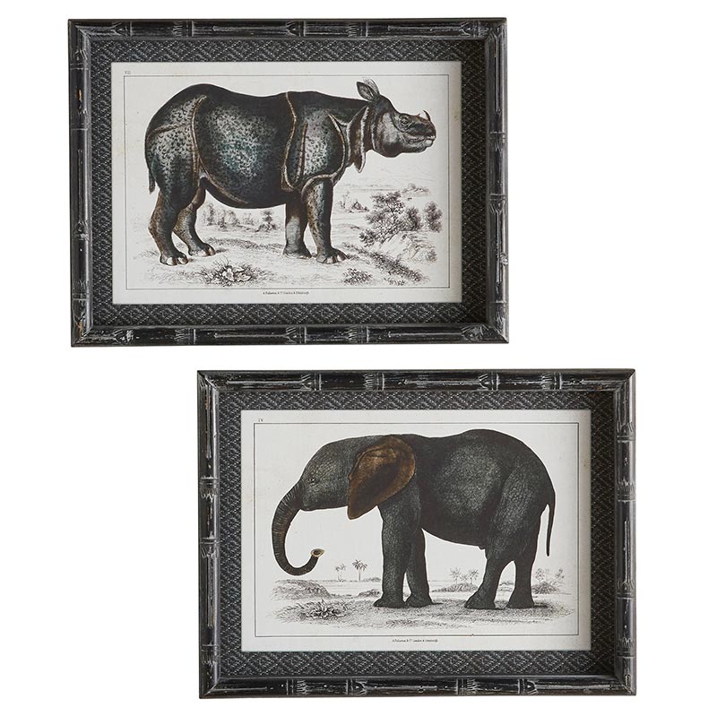 Framed Painting - Animal - Set of 2 - Bombay Mercantile