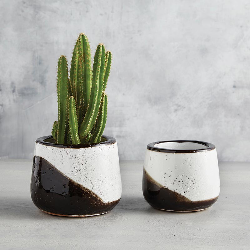 Tow Tone Pot - Bombay Mercantile