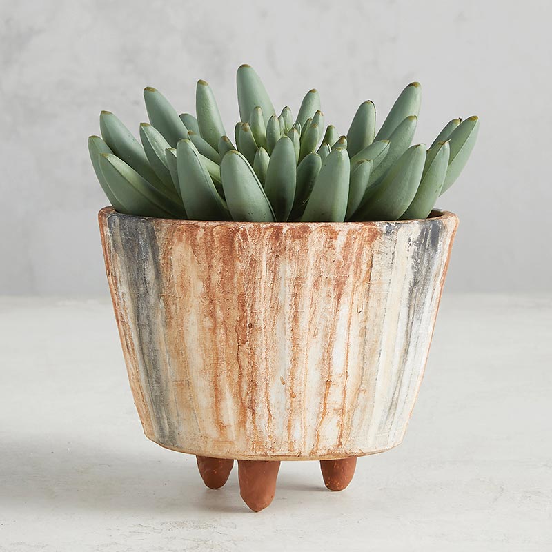 Terracotta Painted Pot - Bombay Mercantile