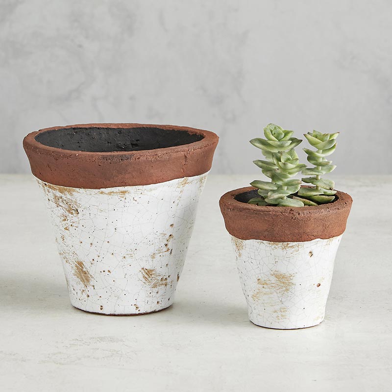 Planter Rough Finish - Bombay Mercantile