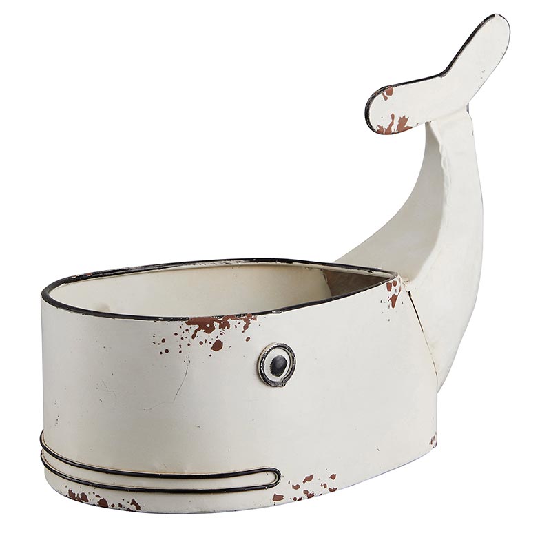 Whale Pot, In increments of 2 - Bombay Mercantile