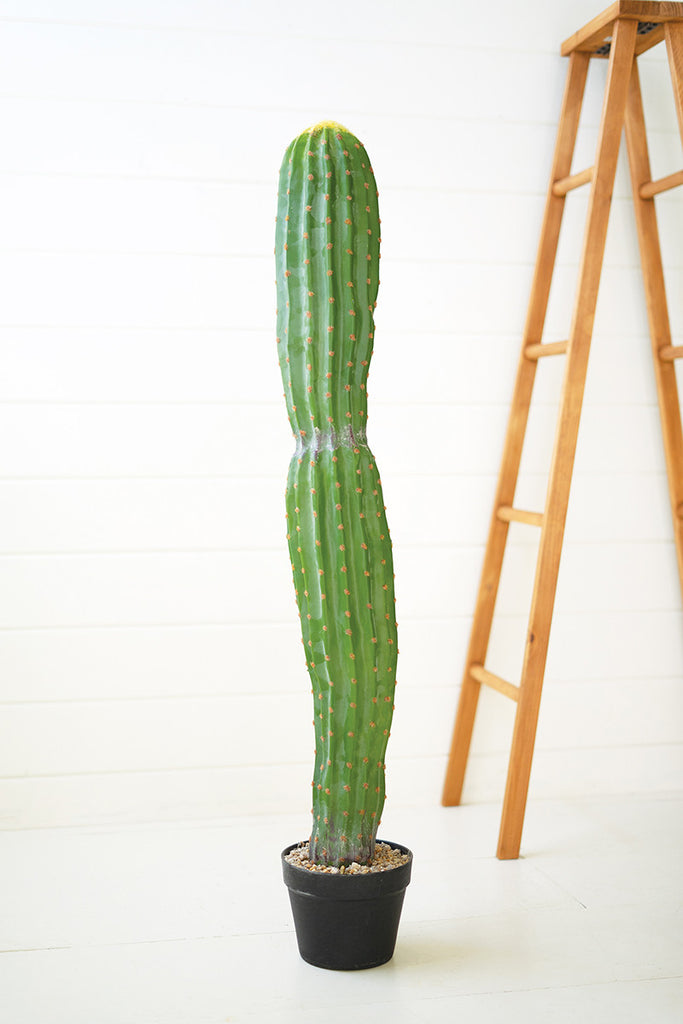 Single trunk cactus - The Nifty Decor