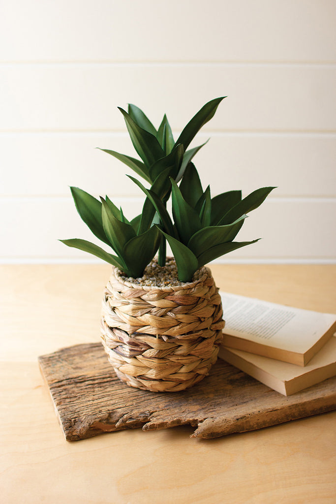 Artificial leafy plant in a woven planter - The Nifty Decor