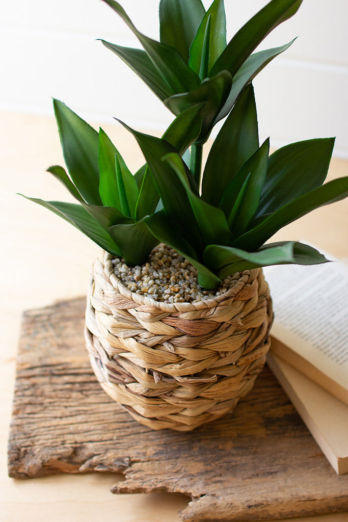 Artificial leafy plant in a woven planter - The Nifty Decor