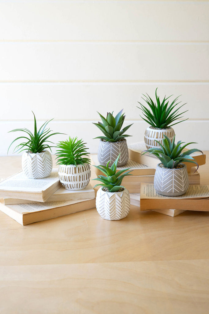 Set of 6 artificial succulents in cement pots - Bombay Mercantile