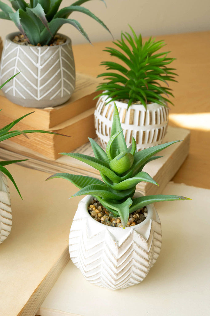 Set of 6 artificial succulents in cement pots - Bombay Mercantile