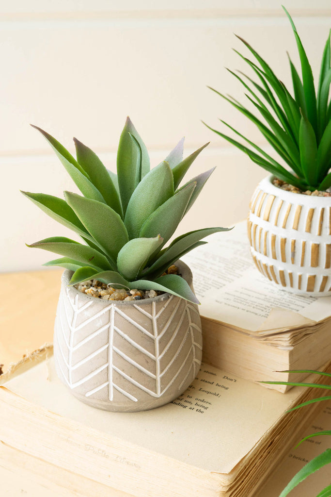 Set of 6 artificial succulents in cement pots - Bombay Mercantile