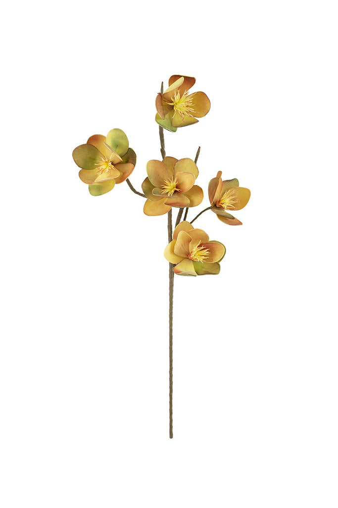 Botanica - The Nifty Decor