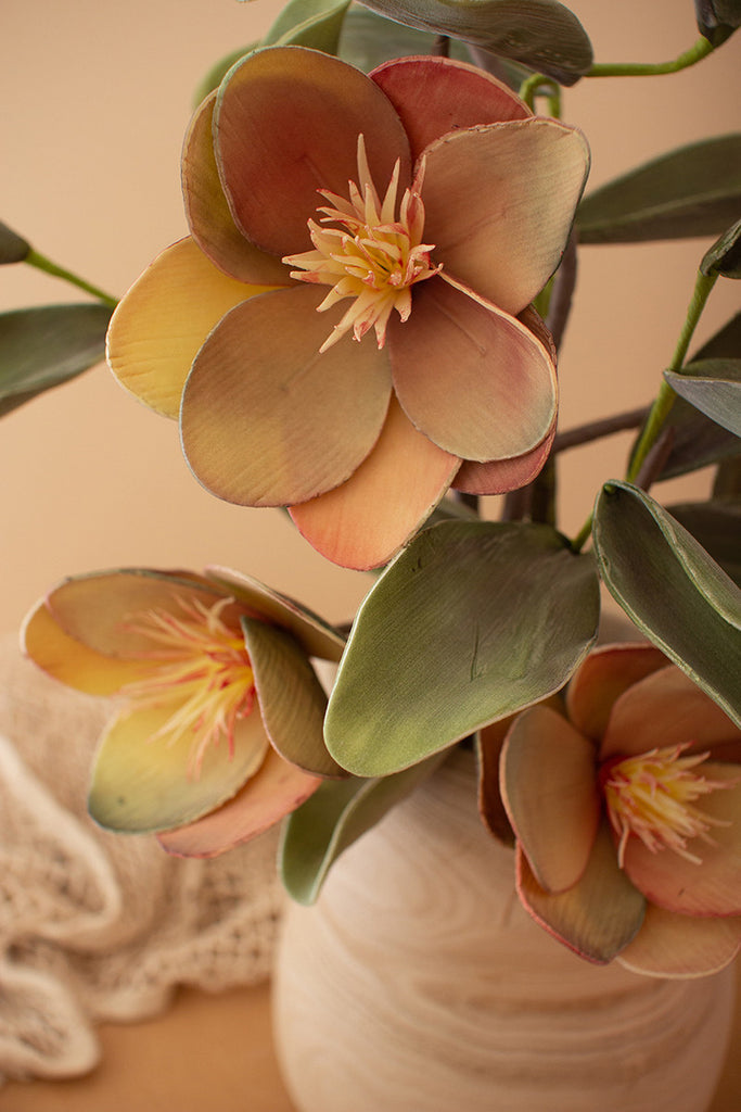 Botanica - The Nifty Decor