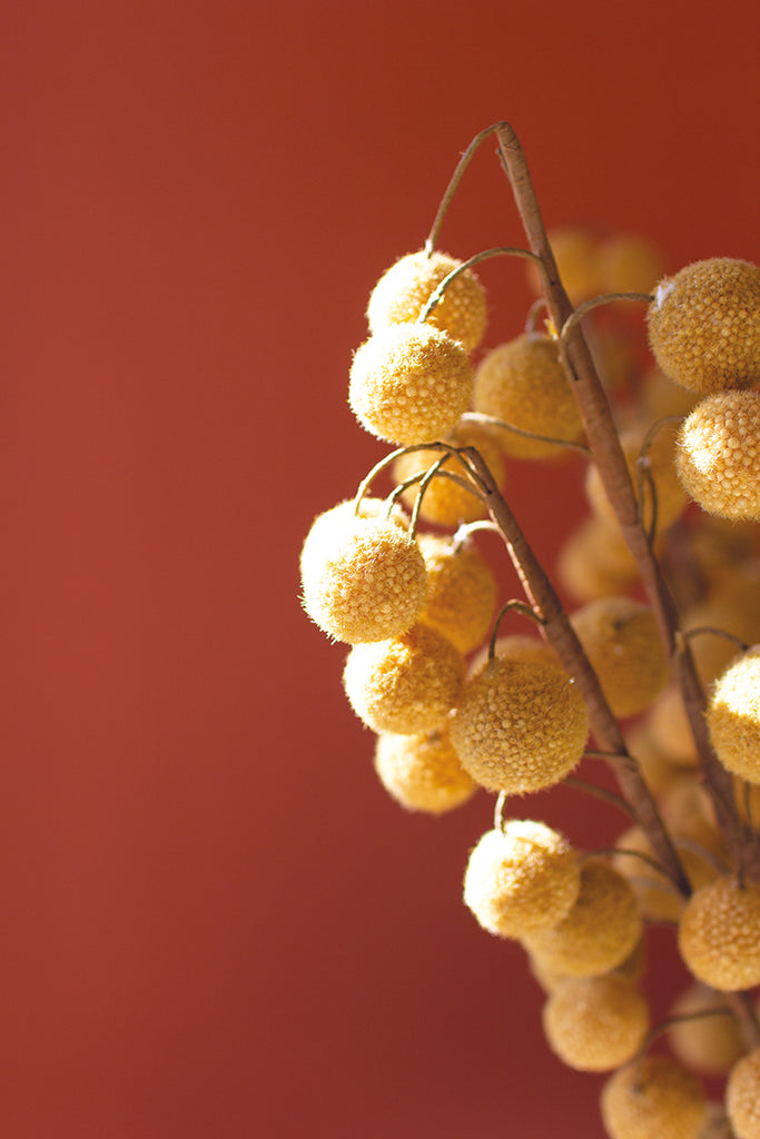 Botanica - The Nifty Decor