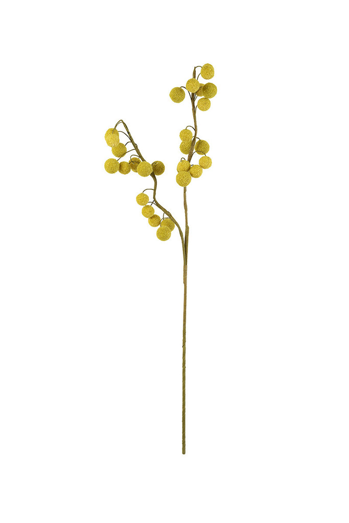 Botanica - The Nifty Decor