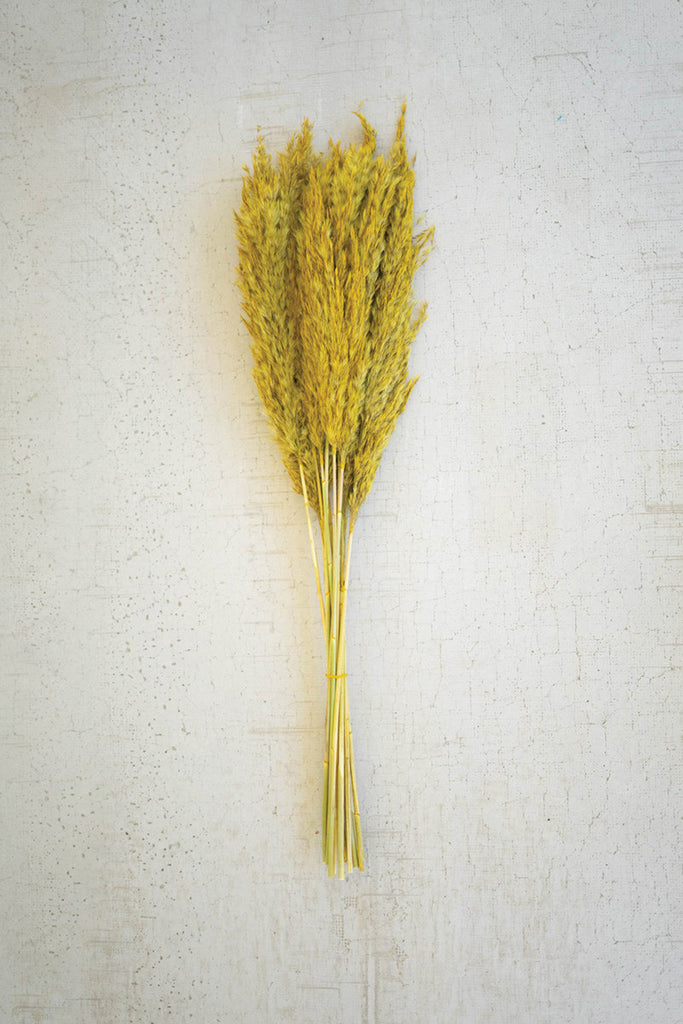 Bundle of 12 mustard pampas grass - Bombay Mercantile
