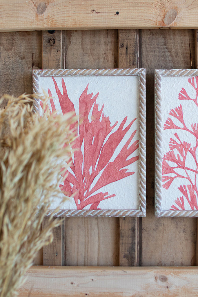 Coral frames, set of 4 - The Nifty Decor