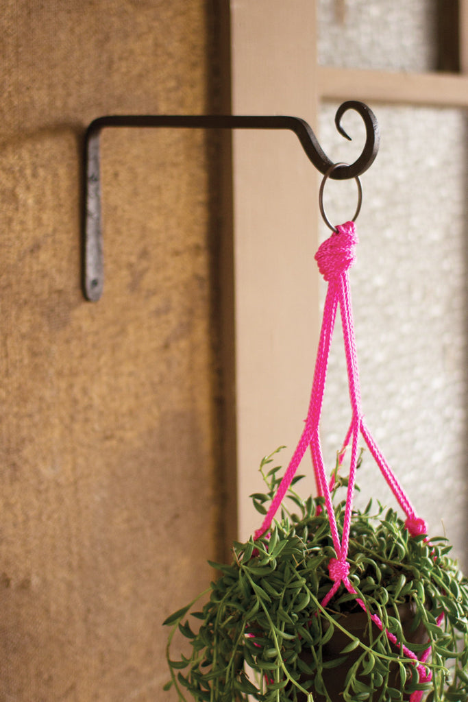 Iron plant hook - The Nifty Decor