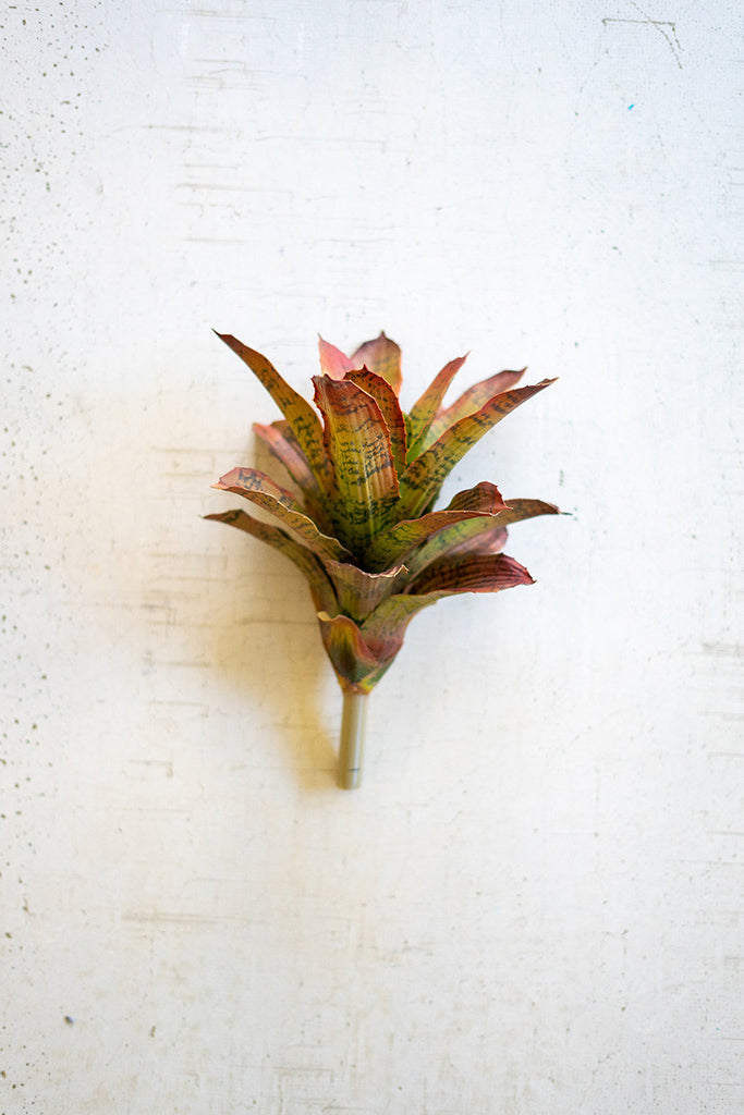 Succulent stem - The Nifty Decor