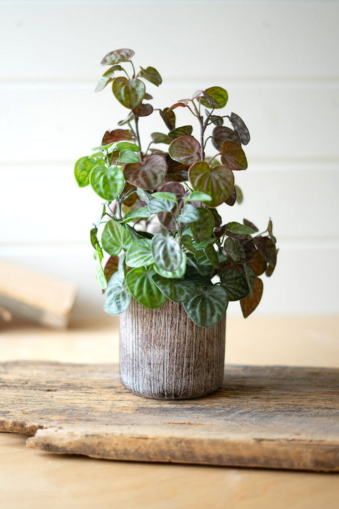 Artificial begonia plant with cement pot - Bombay Mercantile