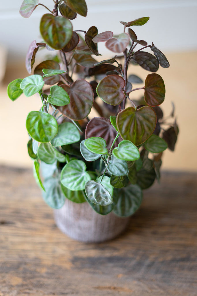 Artificial begonia plant with cement pot - Bombay Mercantile