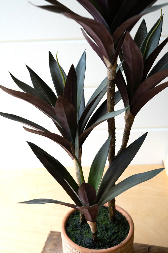 Artificial yucca plant with cement pot - Bombay Mercantile