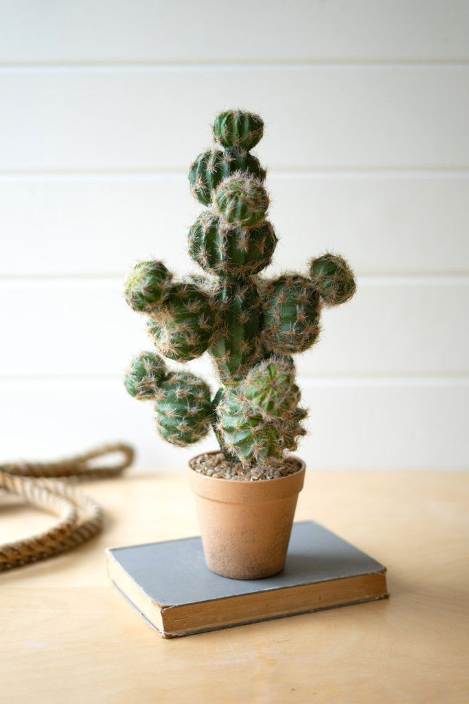 Artificial ball cactus in painted pot - Bombay Mercantile