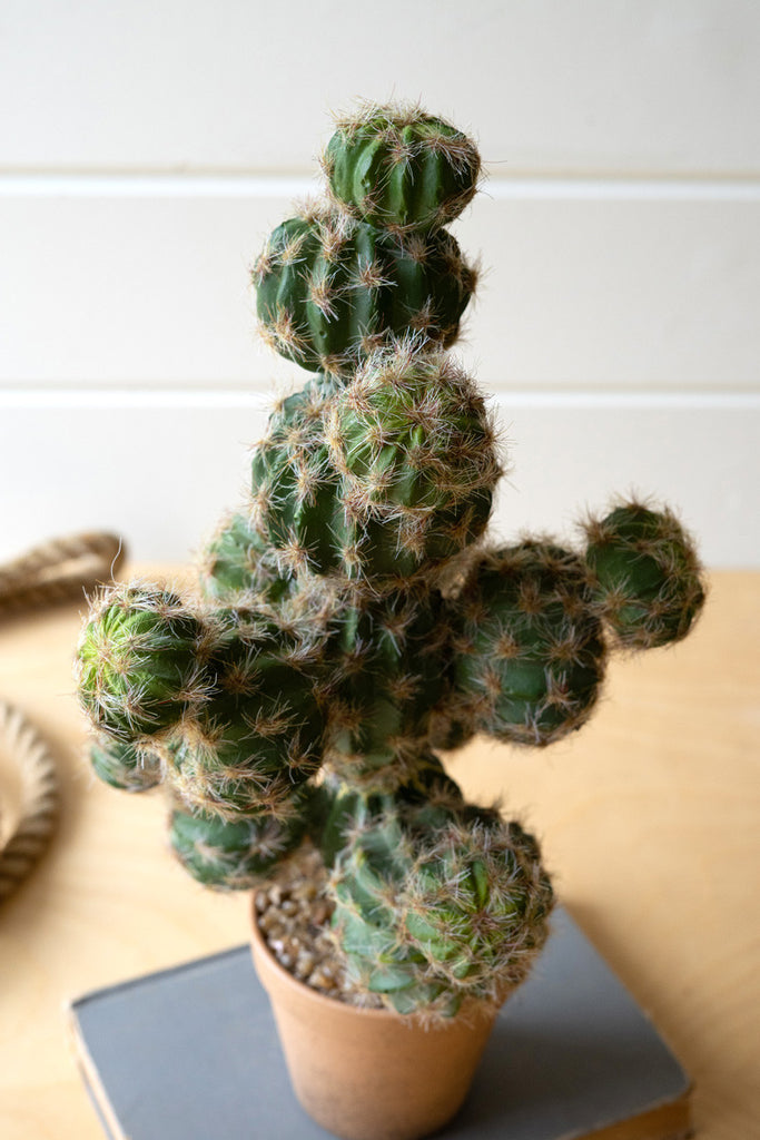 Artificial ball cactus in painted pot - Bombay Mercantile