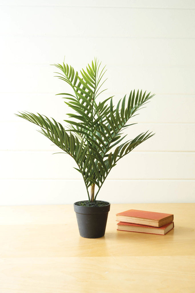 Artificial areca palm in a black pot - Bombay Mercantile