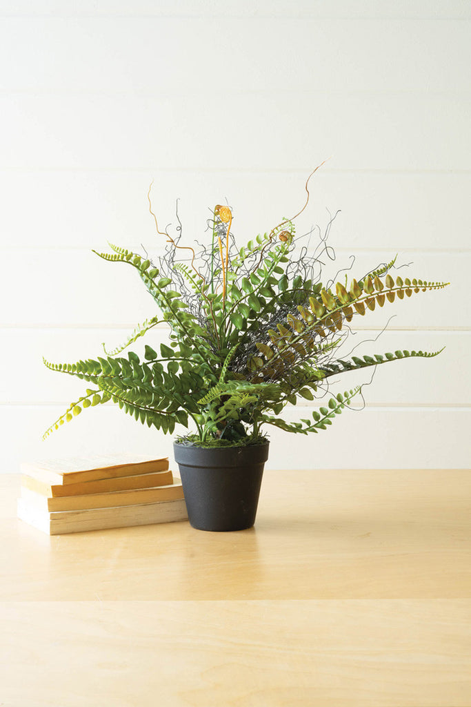 Artificial fern in a black pot - Bombay Mercantile