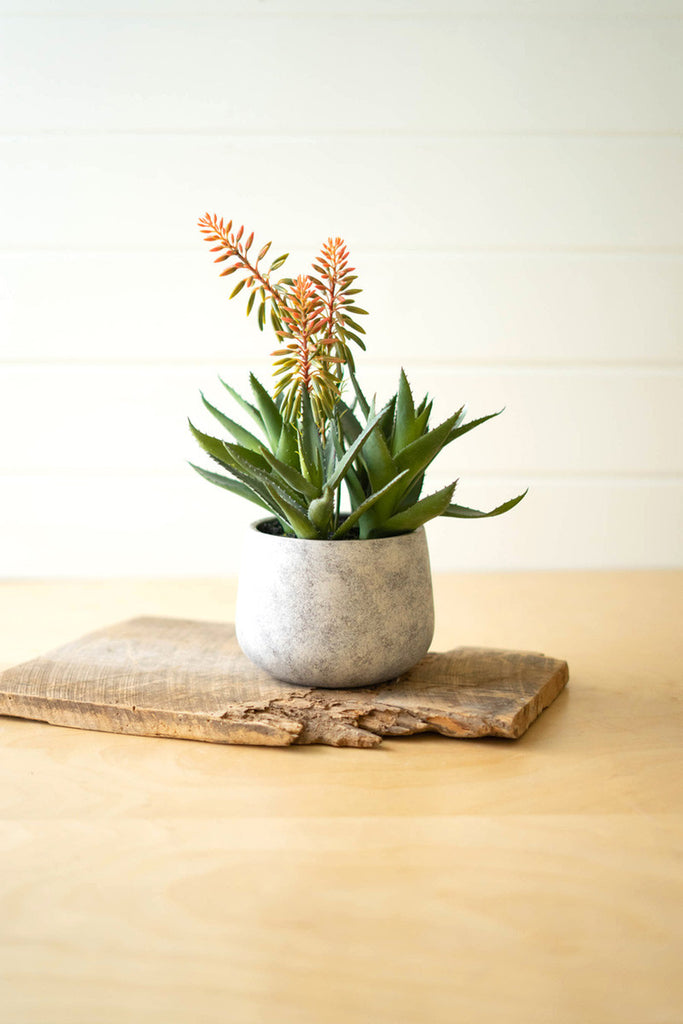 Artificial aloe and flowers in a resin pot - Bombay Mercantile