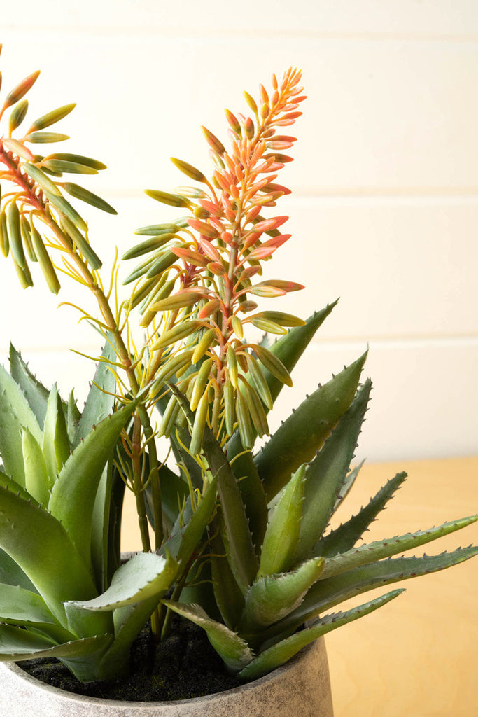 Artificial aloe and flowers in a resin pot - Bombay Mercantile