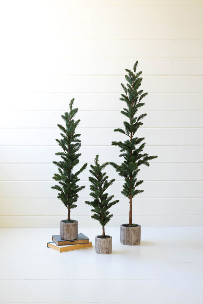 Set of 3 artificial pine trees in cement pots - Bombay Mercantile