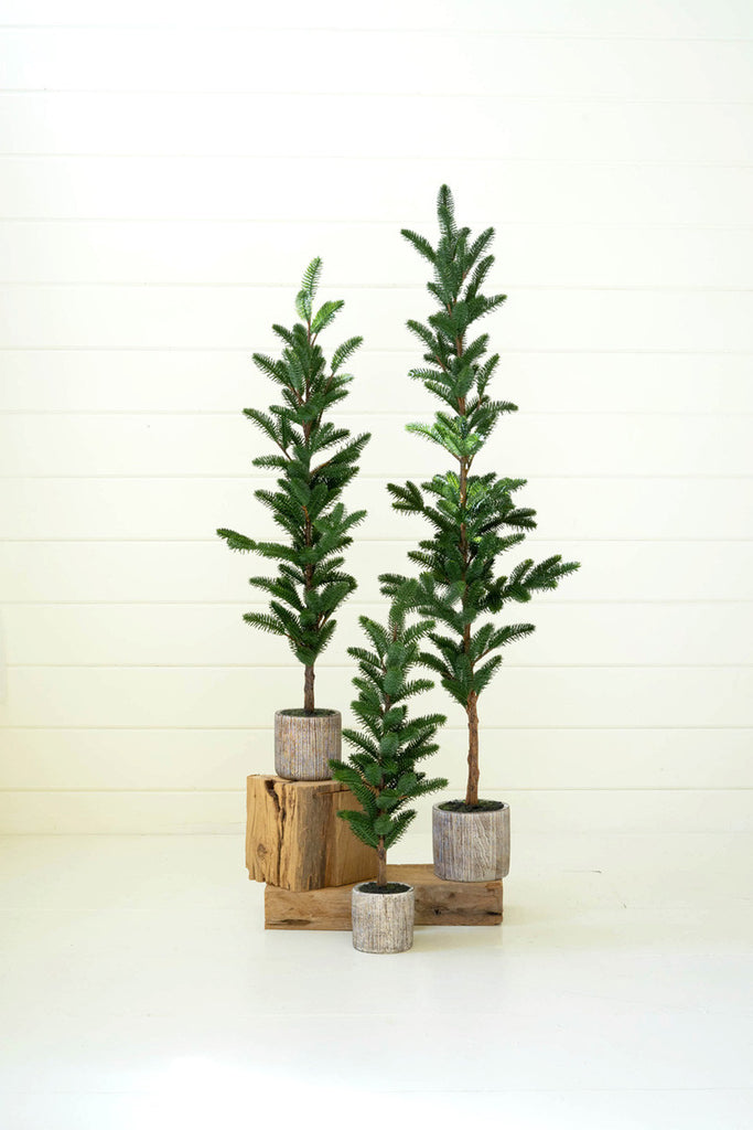 Set of 3 artificial pine trees in cement pots - Bombay Mercantile